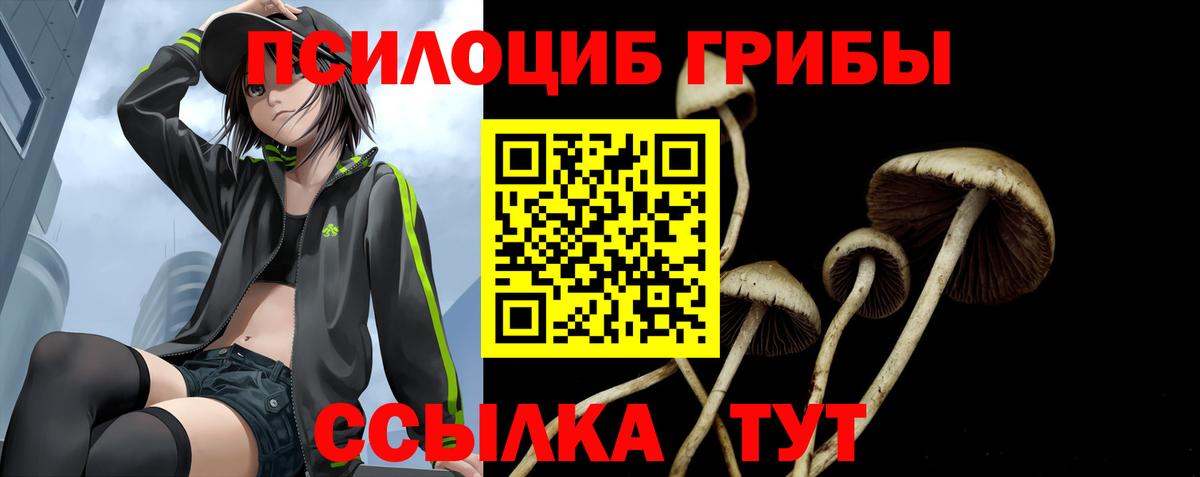 Печора  Псилоцибиновые грибы Magic Shrooms  Вход с VPN 